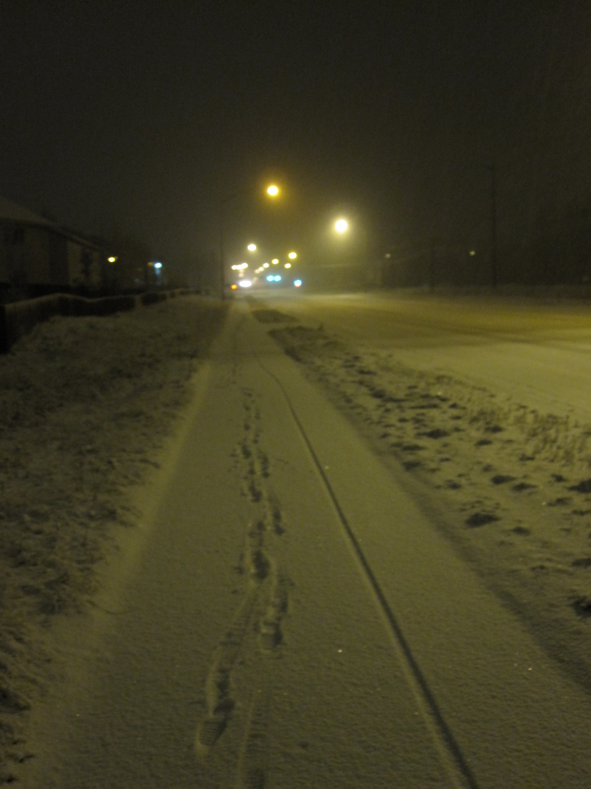 I didn't own a car while living in Alaska.  This was a regular sight during my 3-mile daily walk to work.